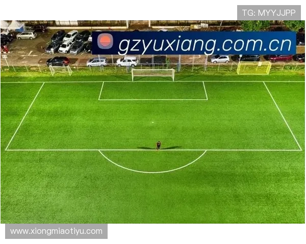 乐鱼体育国际登录推动体育赛事直播多元化，满足不同用户的观看需求