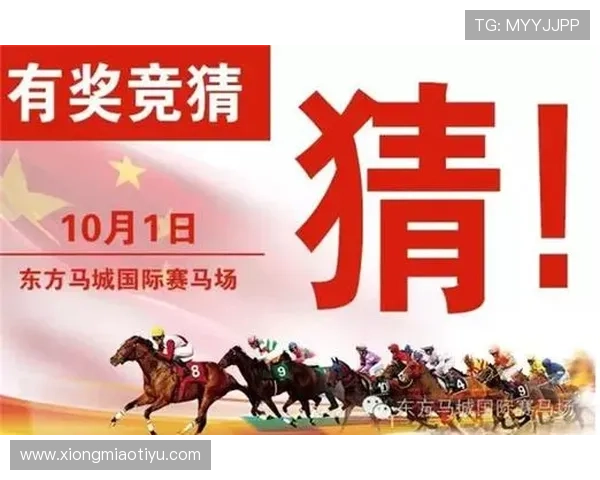 深入了解现金体育网的赔率机制与奖金结算流程确保每一笔投注都公平透明