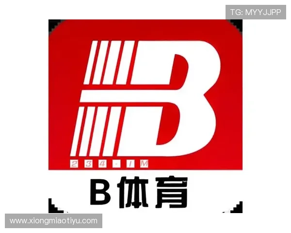 b体育官网手机版：解决常见登录问题的实用技巧与官方客服支持渠道介绍