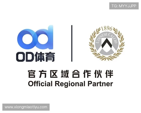 OD体育地址平台官方入口导航，提供最全最安全的登录通道保障用户体验